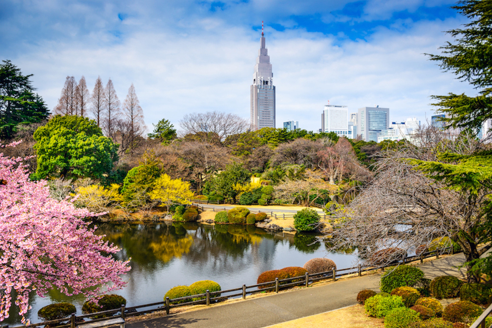 東京で就職するのは難しいとされる理由やオススメの就活サービス