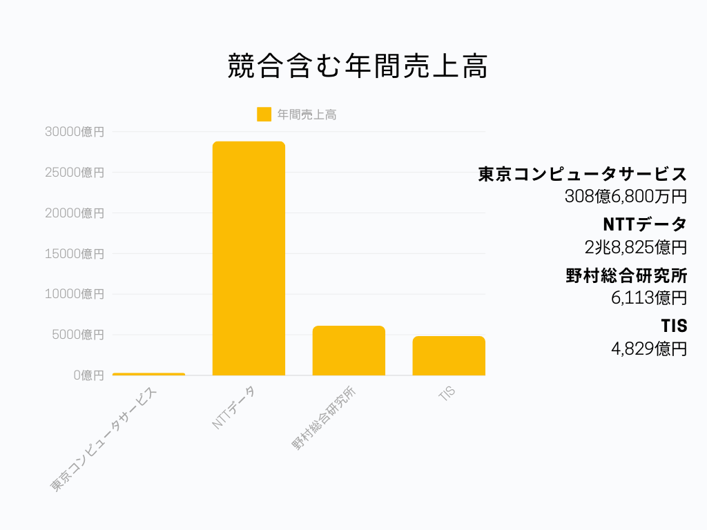 IT業界の中での東京コンピュータサービスの立ち位置