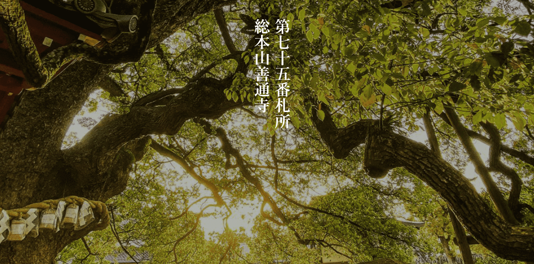 総本山善通寺