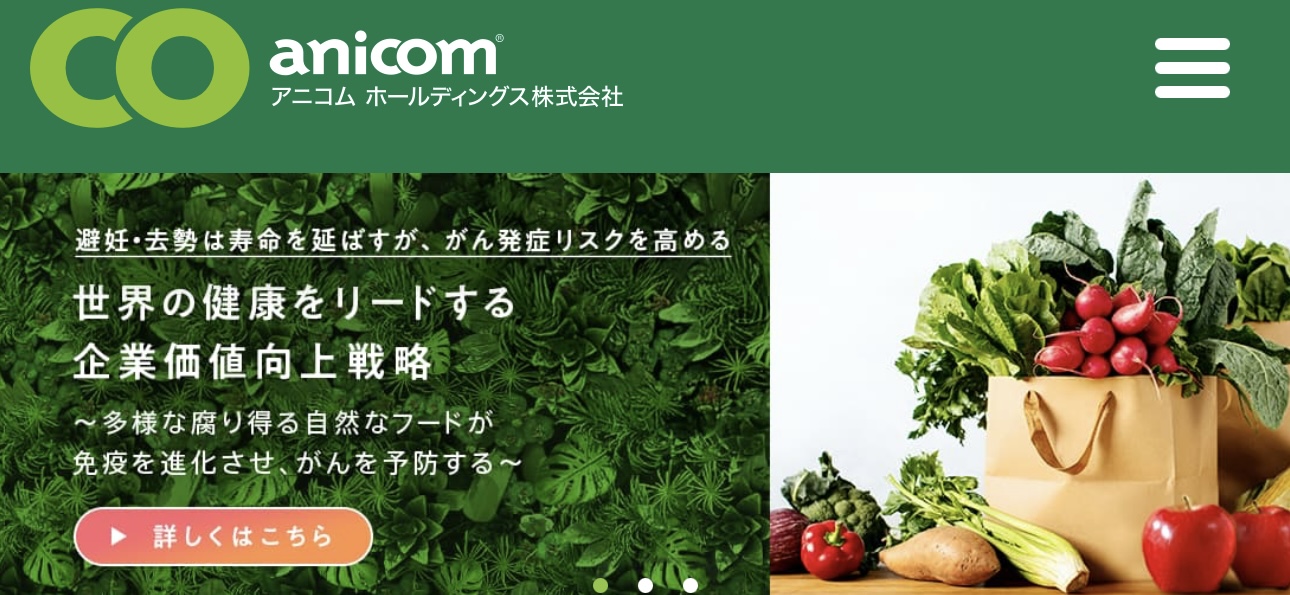 株式会社アニコム ホールディングス