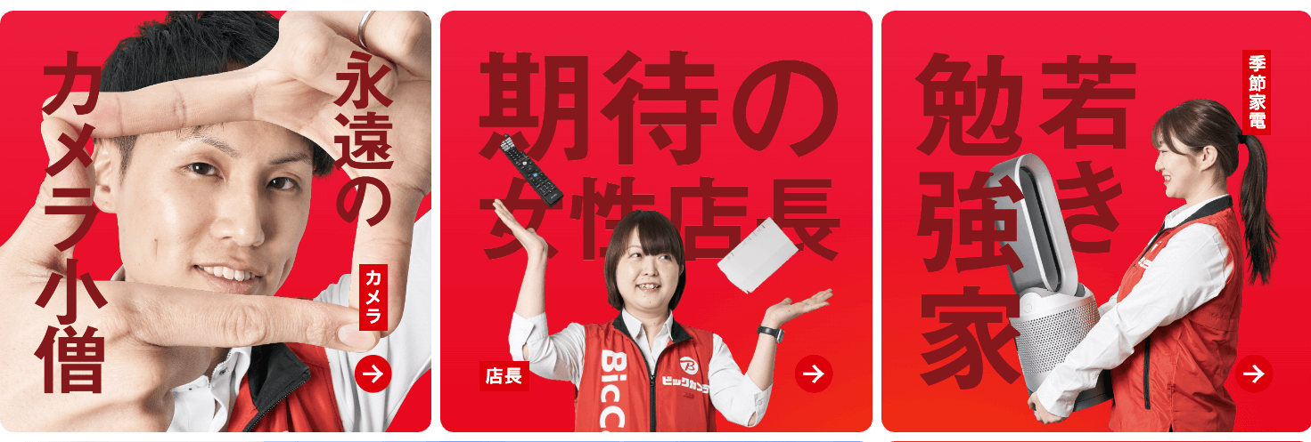 株式会社ビックカメラ