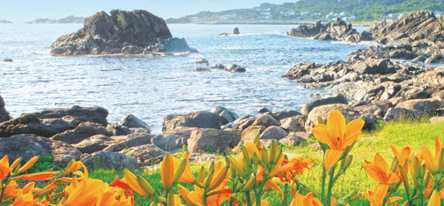 青い森信用金庫