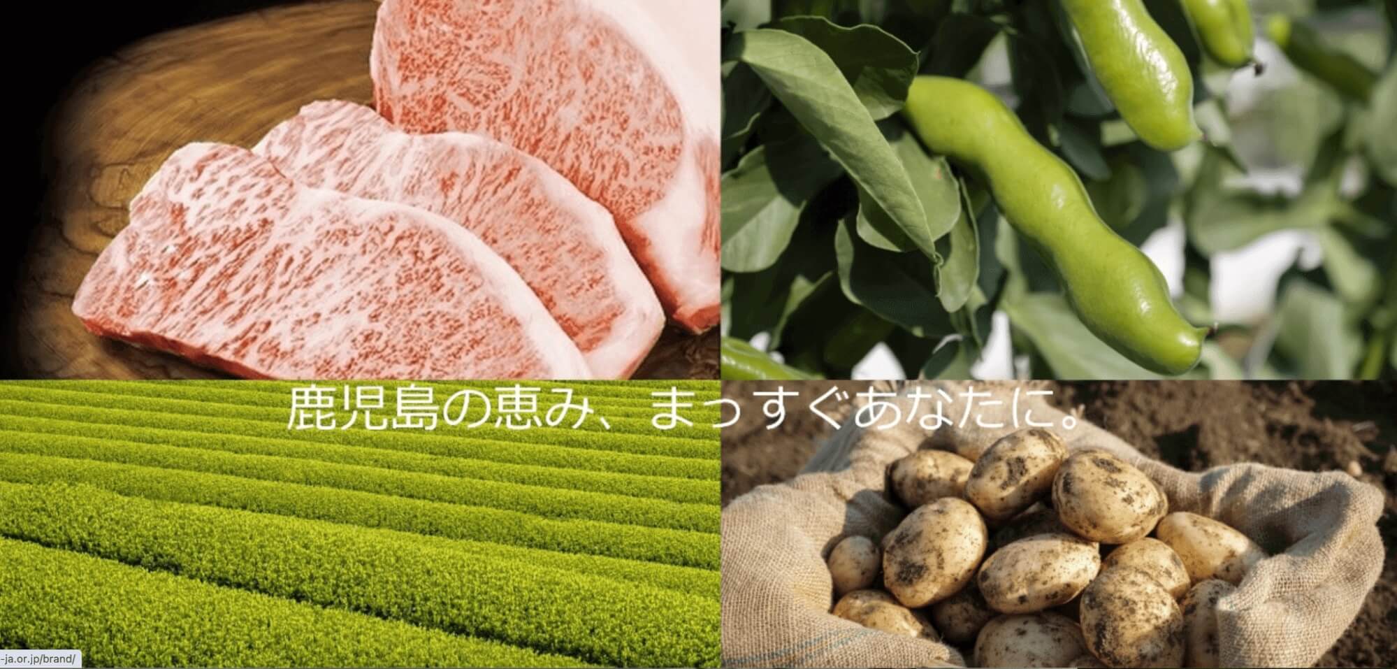 JA鹿児島県経済連