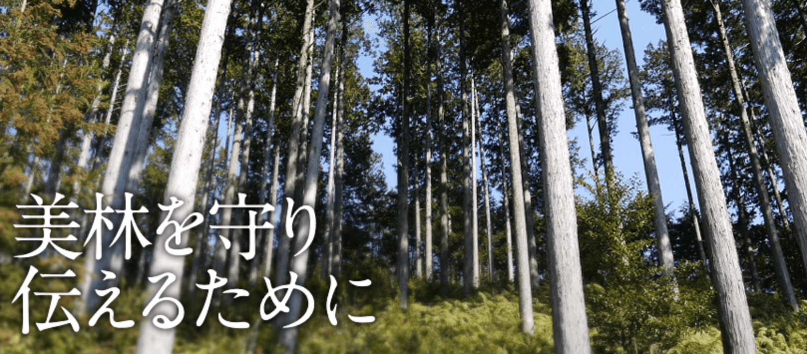 株式会社フジイチ