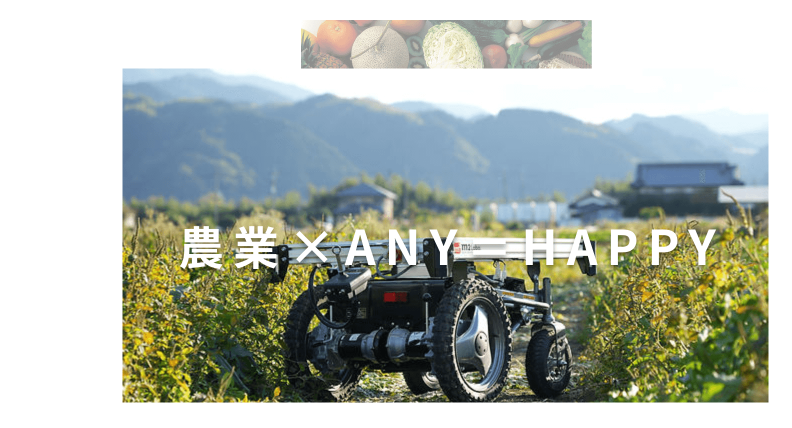 株式会社エムスクエア・ラボ