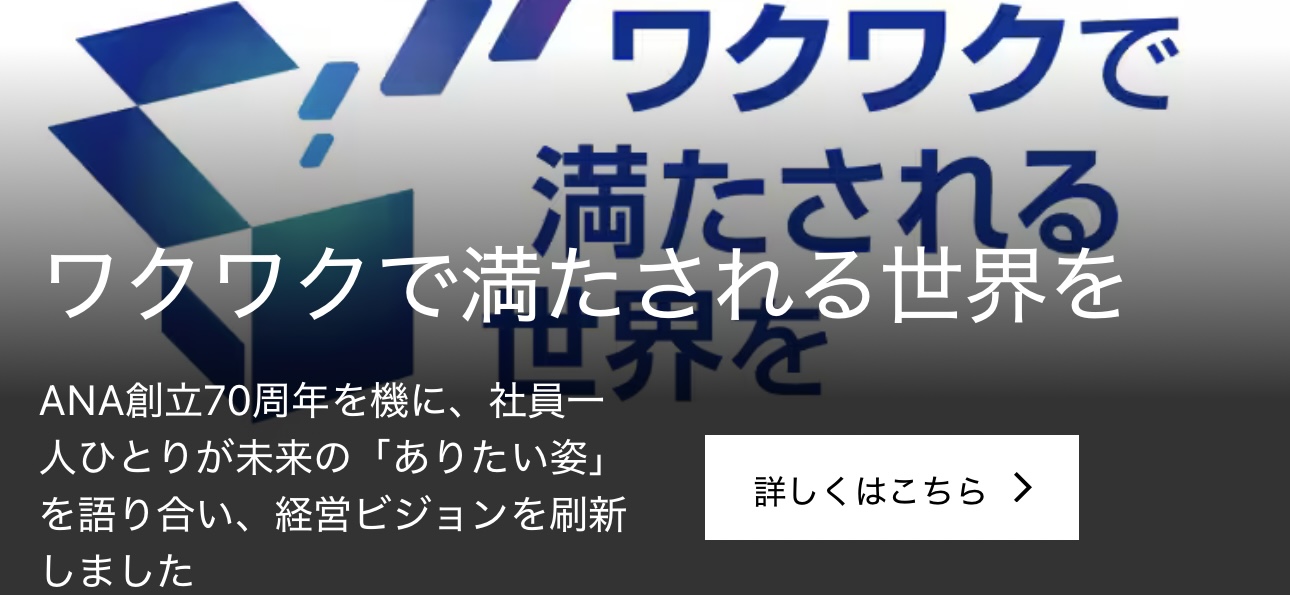 ANAグループ 