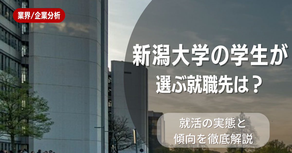 新潟大学の学生が選ぶ就職先は?就活の実態と傾向を徹底解説